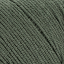 #8581 FOREST GREEN