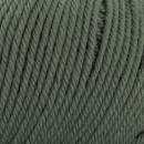 #8581 FOREST GREEN